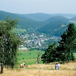 Upland - Zeitgeist Mit Garten, Grillhuette, Spielplatz Und Meinecardplus 빌링겐