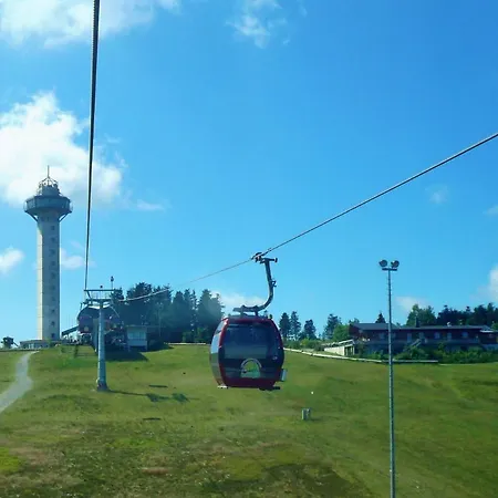 Upland - Zeitgeist *