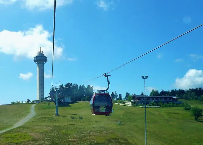 Upland - Zeitgeist *